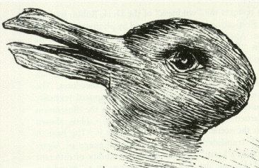 Jastrow's Duck-Rabbit