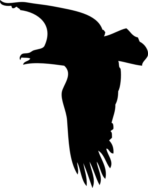 Phylopic Phryday Photo