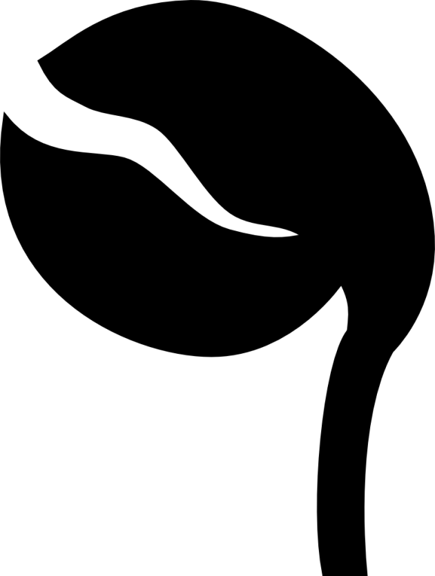 PhyloPic Phryday Photo