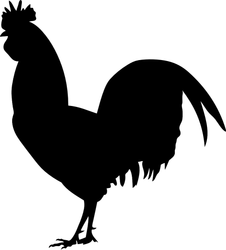 PhyloPic Phryday Photo