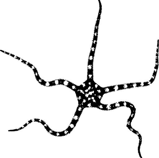 Phylopic Phryday Photo